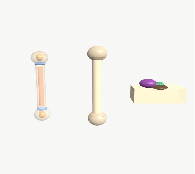 El hueso que crece en 3D