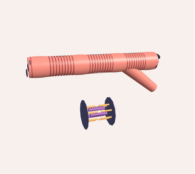 Cardiomiocito en 3D