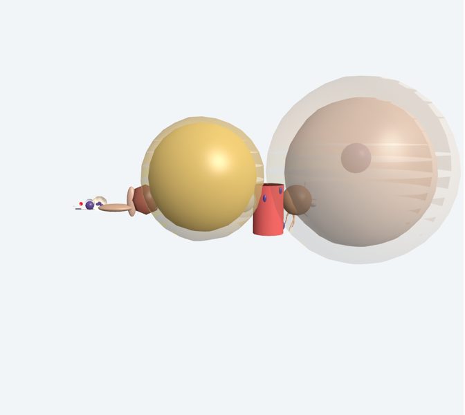 Células del cuerpo (a escala) en 3D