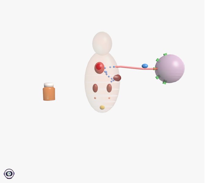 El viaje de un medicamento en 3D en la app Organauta