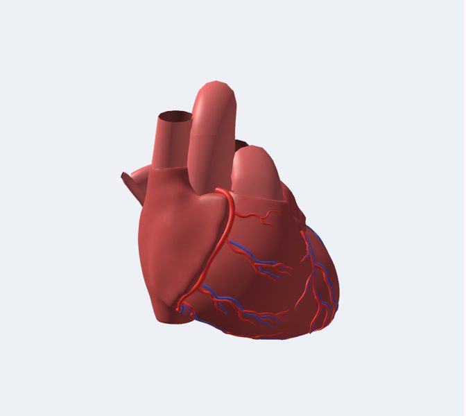 Corazón en 3D