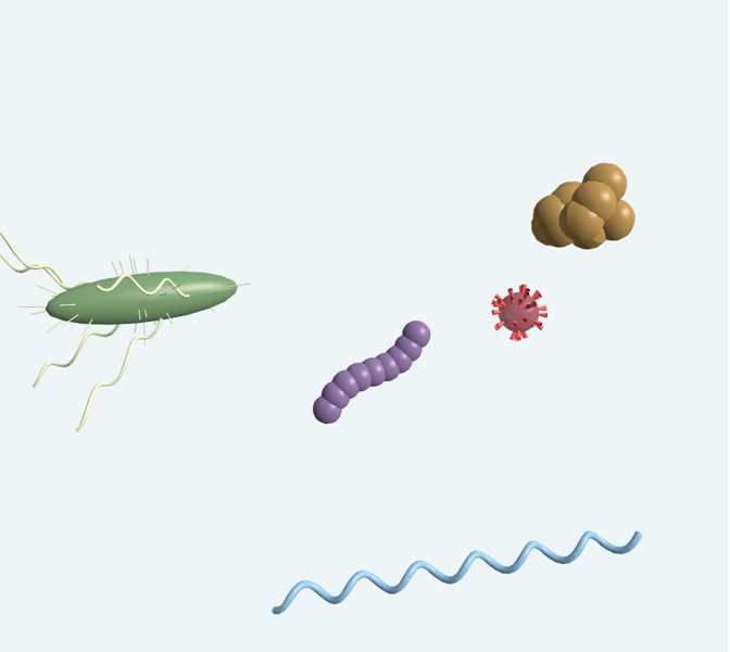 Microbios: bacterias y virus en 3D