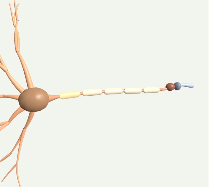 Neurona en 3D