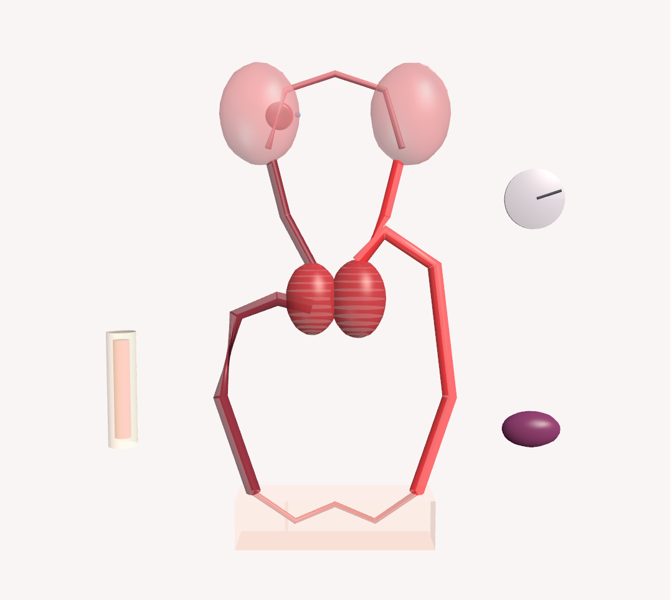 Viaje de un glóbulo rojo en 3D