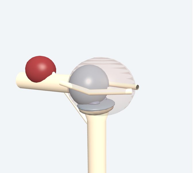 Articulación en 3D